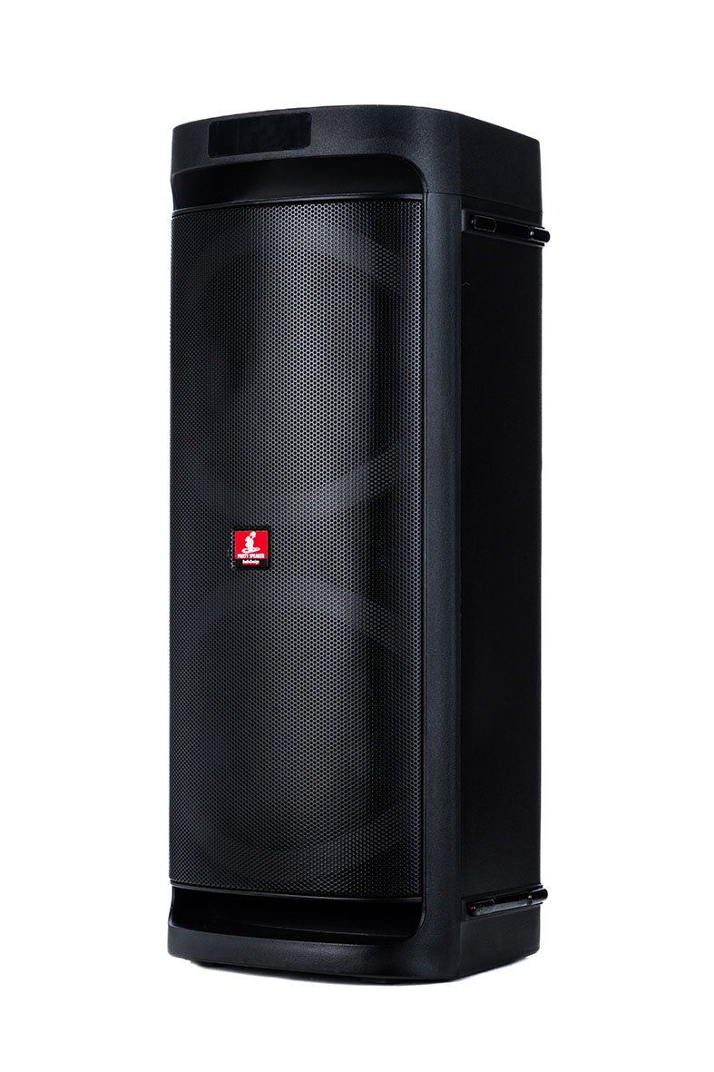 Audiodesign Diffusore Portatile DJ 206 2X6,5'