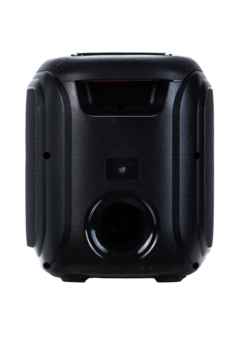 Audiodesign Diffusore Portatile DJ 107 1X7'