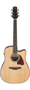 Ibanez AAD51CE Natural High Gloss