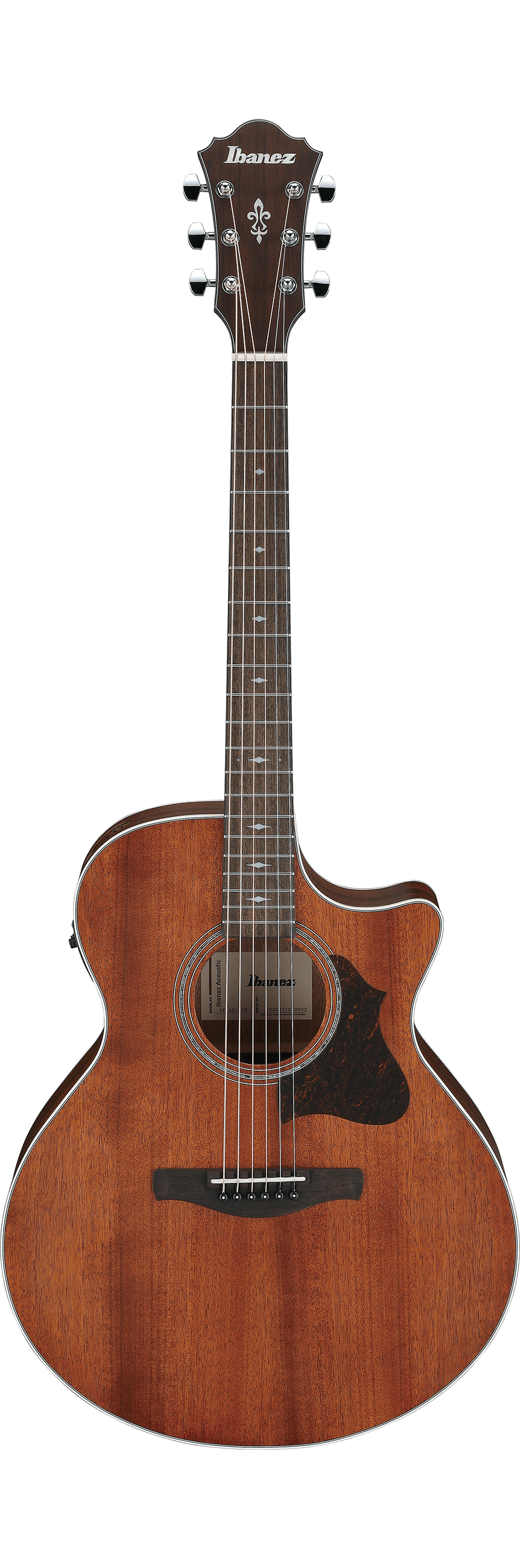 Ibanez AE140 Open Pore Natural