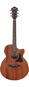 Ibanez AE140 Open Pore Natural