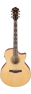 Ibanez AE170 Natural High Gloss top