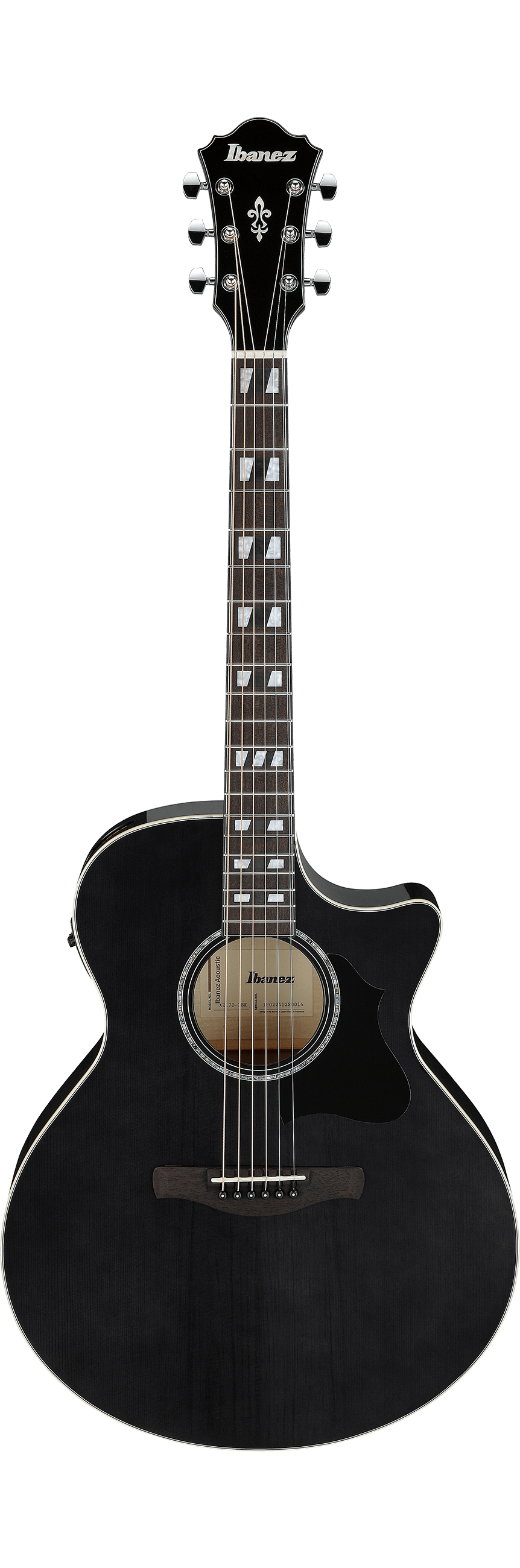 Ibanez AE170 Transparent Black High Gloss