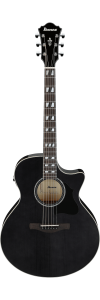 Ibanez AE170 Transparent Black High Gloss