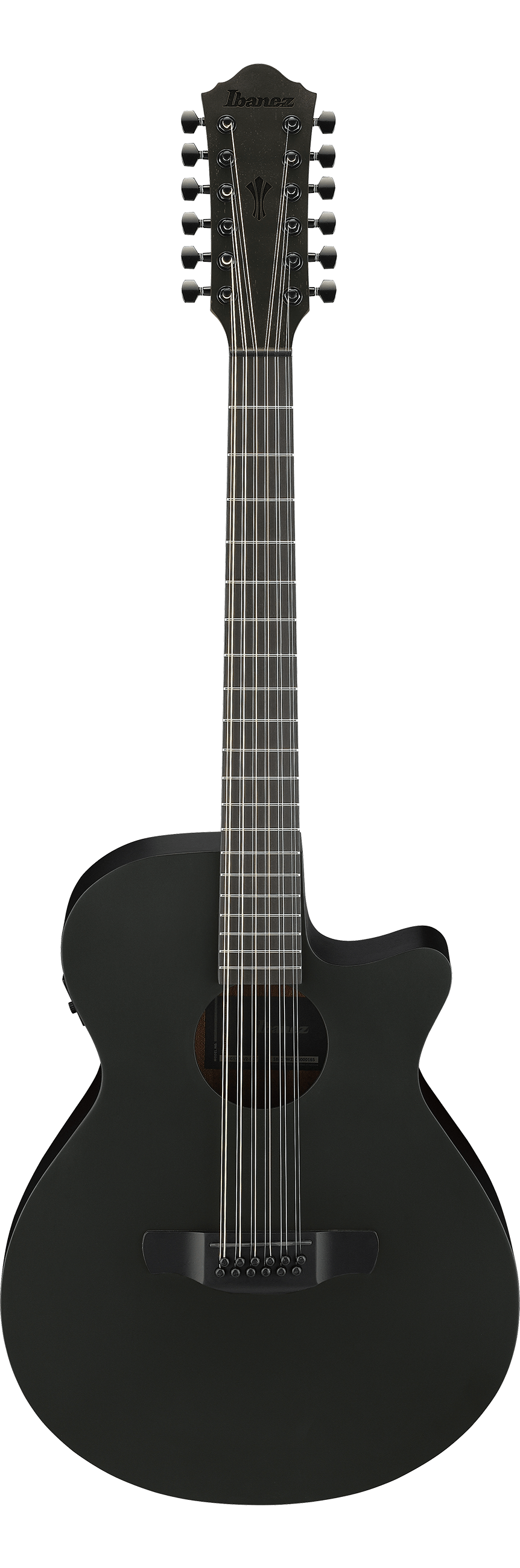 Ibanez AEG1221 Black Out