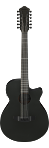 Ibanez AEG1221 Black Out