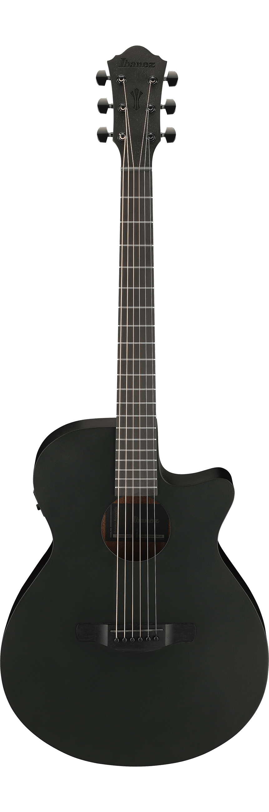 Ibanez AEG621 Black Out