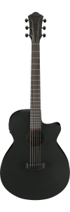 Ibanez AEG621 Black Out