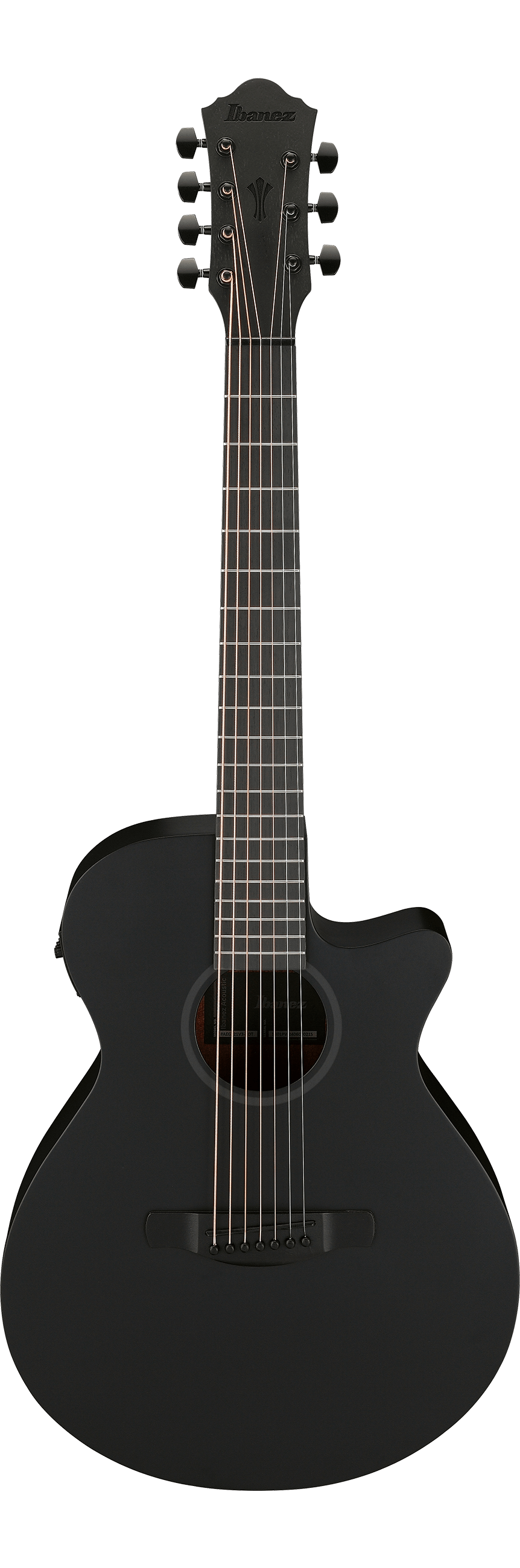Ibanez Aeg721 Black Out