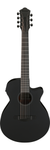 Ibanez Aeg721 Black Out