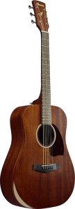 Ibanez PF14JR Open Pore Natural