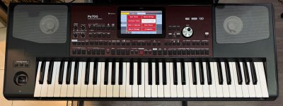 Korg PA700 Usata