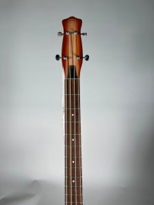 danielectro longhorn usato