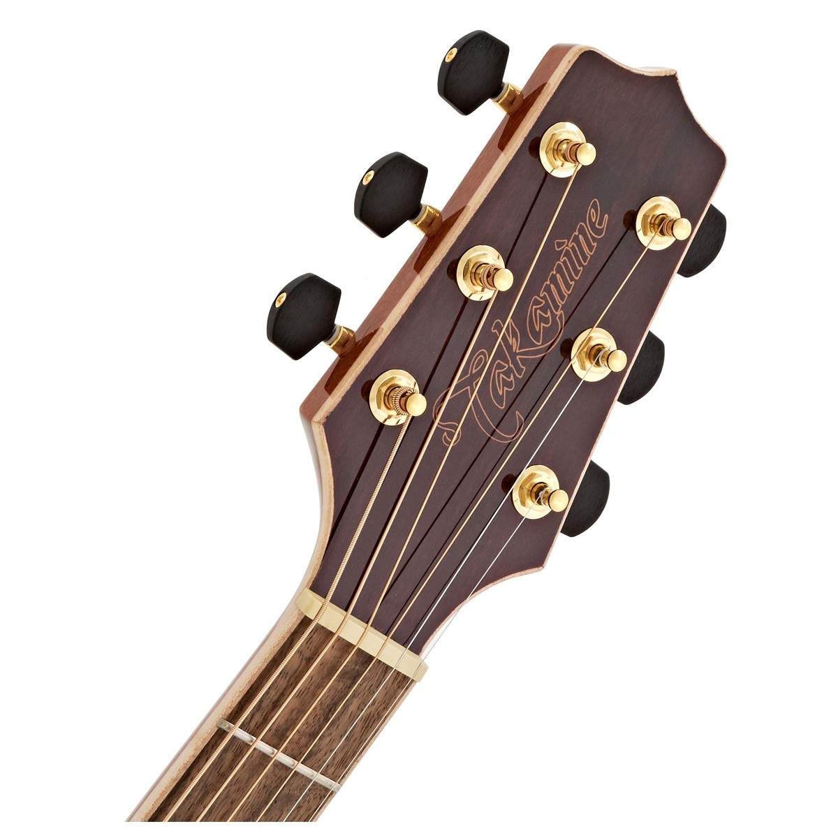 Takamine Dreadnought Cutaway Elettrificata Natural