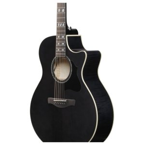 Ibanez AE170 Transparent Black High Gloss