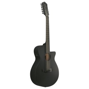 Ibanez AEG1221 Black Out