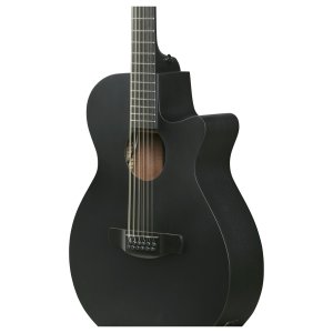Ibanez AEG1221 Black Out