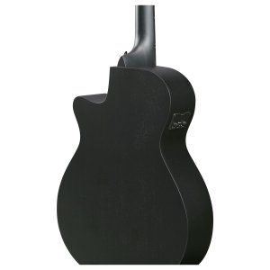 Ibanez AEG1221 Black Out