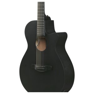 Ibanez AEG621 Black Out
