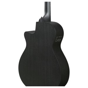 Ibanez AEG621 Black Out