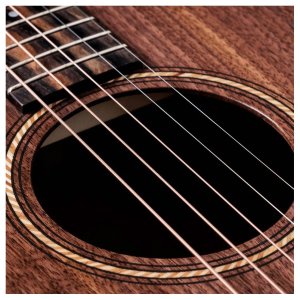 Taylor Jacob Collier Academy 22e 5-String