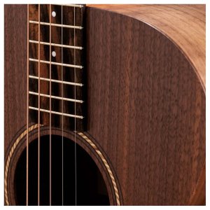 Taylor Jacob Collier Academy 22e 5-String