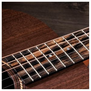 Taylor Jacob Collier Academy 22e 5-String