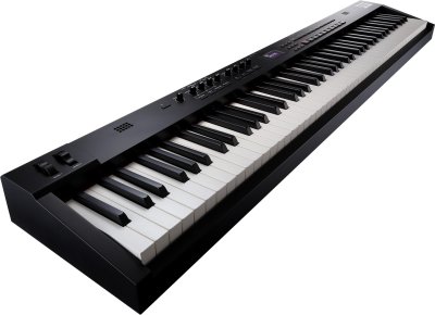Roland RD-88EX Stage Piano 88 Tasti Pesati