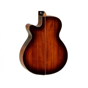 Tanglewood Serie Winterleaf Tw4e Autumn Burst Gloss