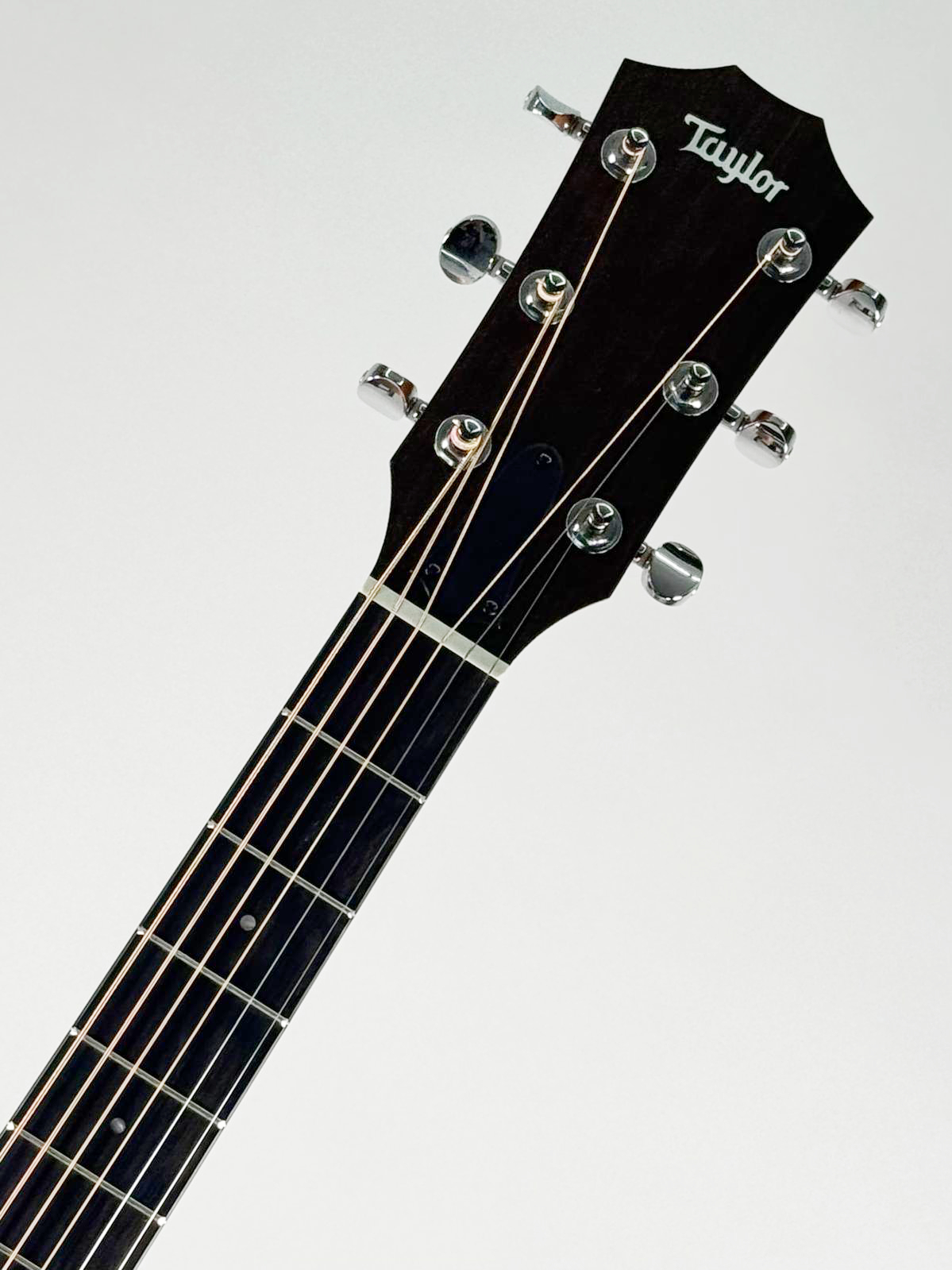 Taylor 24CE