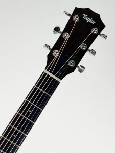 Taylor 24CE