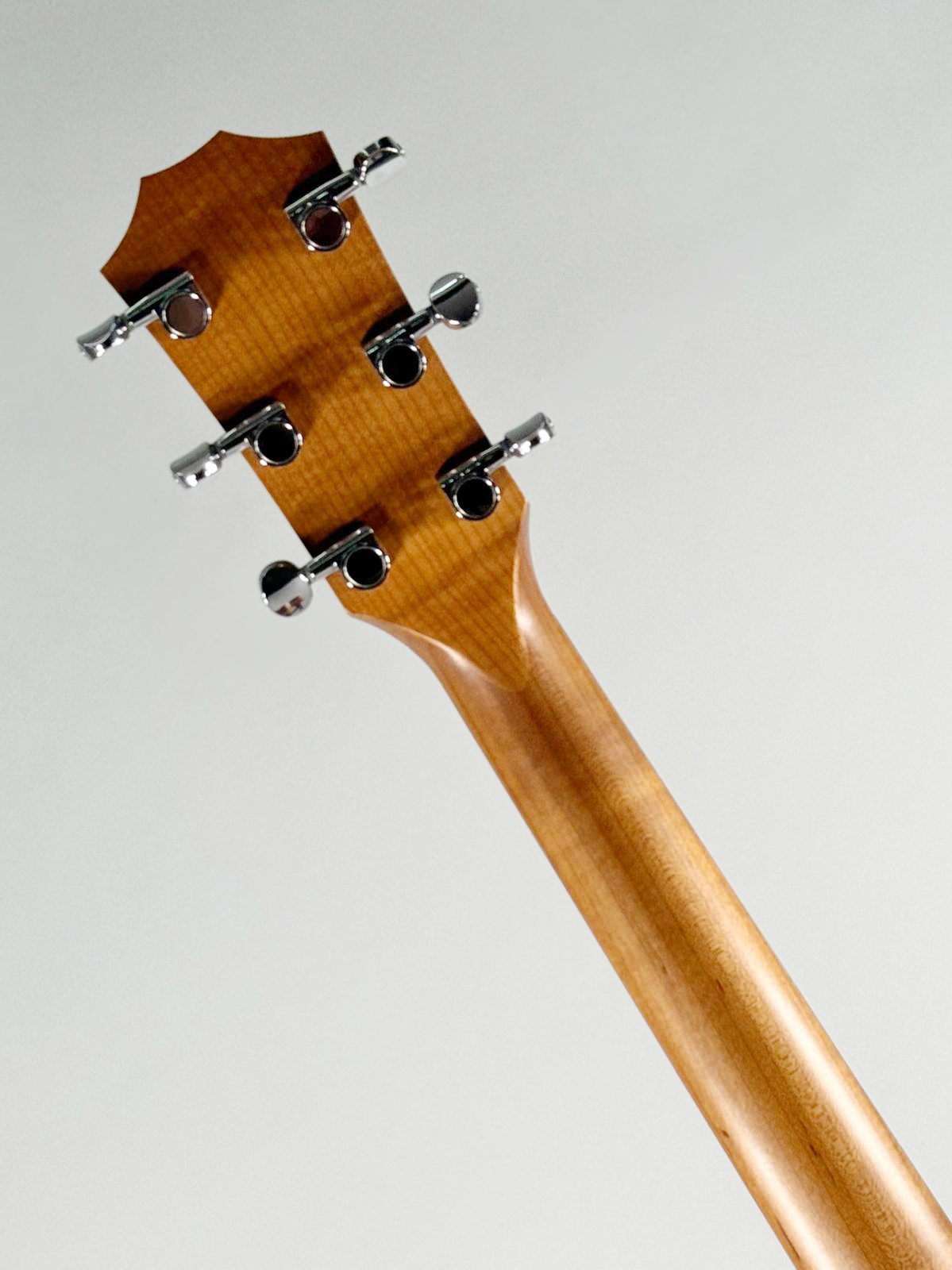 Taylor 24CE