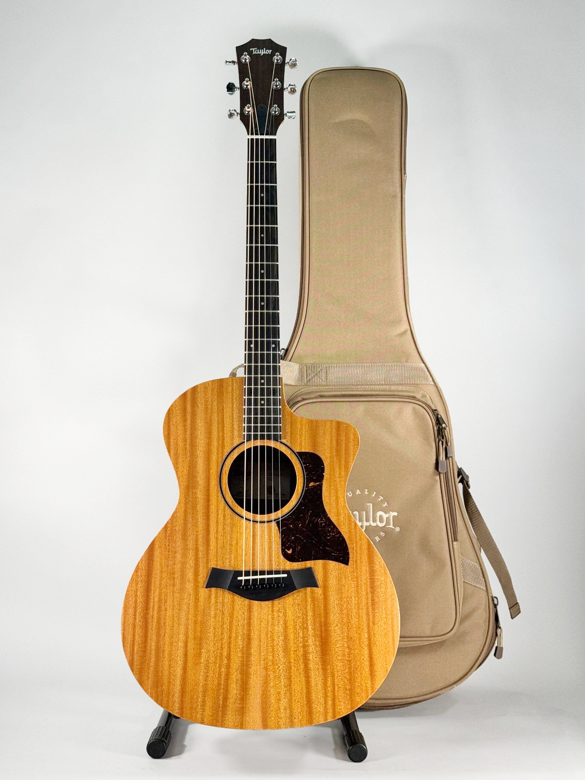 Taylor 24CE