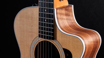 Taylor 212Ce Walnut Spruce