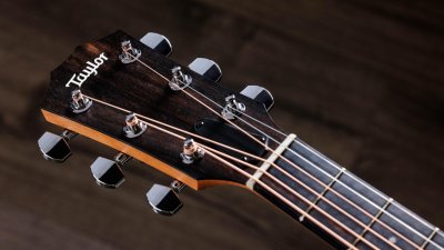 Taylor 212Ce Walnut Spruce