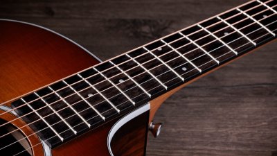 Taylor 214Ce Plus Special Edition African Ziricote