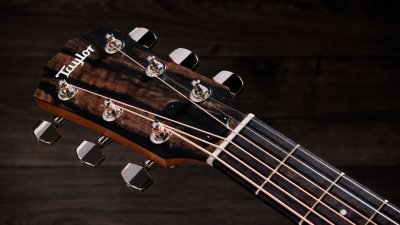 Taylor 214Ce Plus Special Edition African Ziricote
