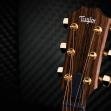 Taylor Ad14CE Limited 50Th Anniversary Sunburst