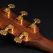 Taylor Ad14CE Limited 50Th Anniversary Sunburst