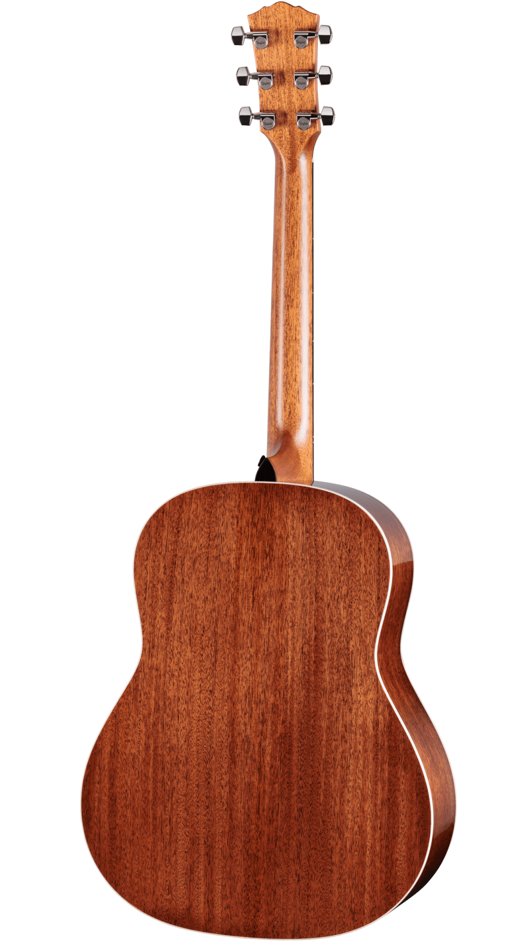 Taylor 517E SB Sunburst Gold Label Cream Pickguard