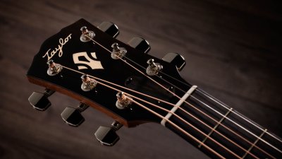 Taylor 517E SB Sunburst Gold Label Cream Pickguard