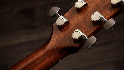 Taylor 517E SB Sunburst Gold Label Cream Pickguard