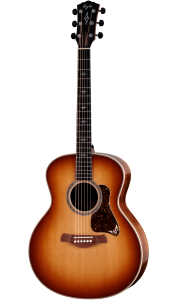Taylor 814E Sunburst Gold Label