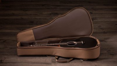 Taylor Gs Mini-E Special Edition Trans Black