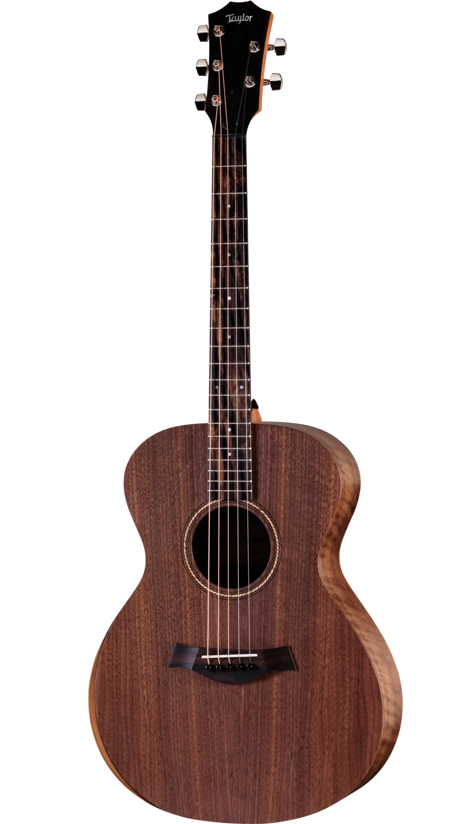 Taylor Jacob Collier Academy 22e 5-String