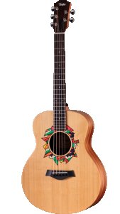 Taylor Jacob Collier GS Mini 5-String