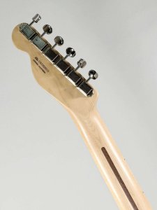 FENDER TELECASTER AM PERFORMER USATA