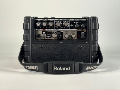 ROLAND MICRO CUBE GX USATO